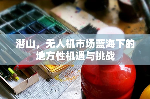 潜山，无人机市场蓝海下的地方性机遇与挑战