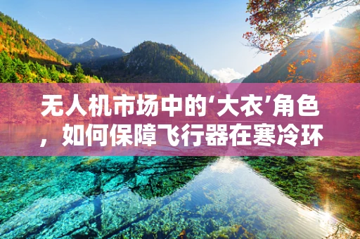 无人机市场中的‘大衣’角色，如何保障飞行器在寒冷环境下的稳定运行？