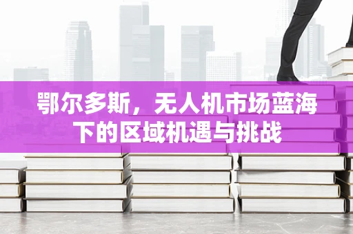鄂尔多斯，无人机市场蓝海下的区域机遇与挑战