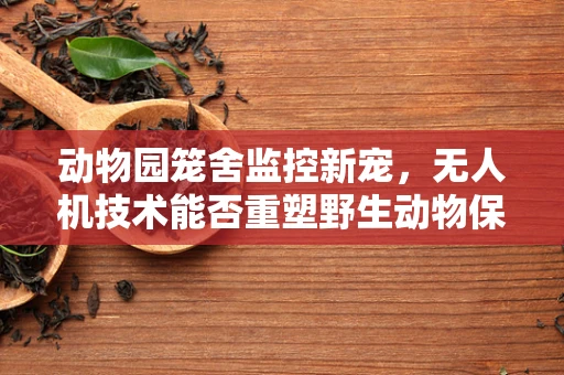 动物园笼舍监控新宠，无人机技术能否重塑野生动物保护新格局？