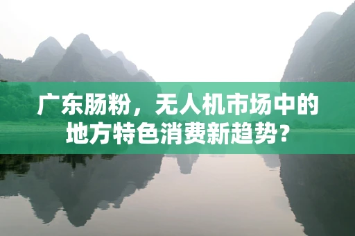 广东肠粉，无人机市场中的地方特色消费新趋势？