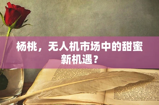 杨桃，无人机市场中的甜蜜新机遇？