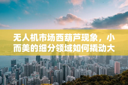 无人机市场西葫芦现象，小而美的细分领域如何撬动大未来？