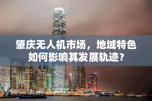肇庆无人机市场，地域特色如何影响其发展轨迹？