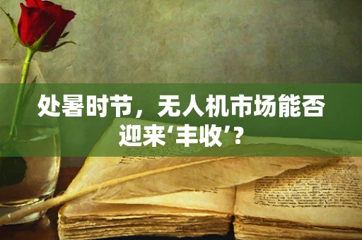 处暑时节，无人机市场能否迎来‘丰收’？