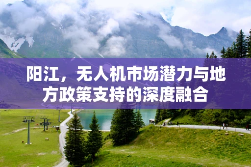 阳江，无人机市场潜力与地方政策支持的深度融合