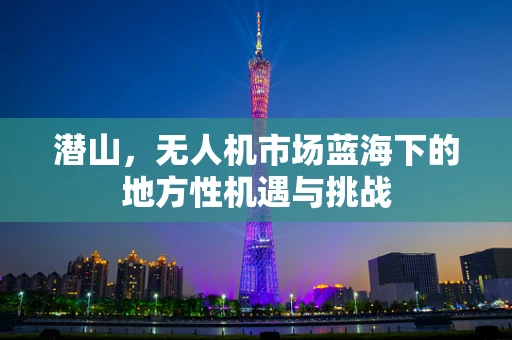 潜山，无人机市场蓝海下的地方性机遇与挑战