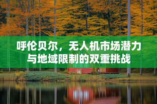 呼伦贝尔，无人机市场潜力与地域限制的双重挑战