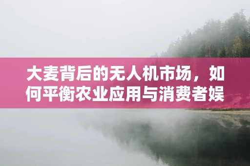 大麦背后的无人机市场，如何平衡农业应用与消费者娱乐的双重需求？