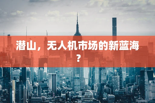潜山，无人机市场的新蓝海？