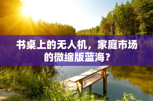 书桌上的无人机，家庭市场的微缩版蓝海？