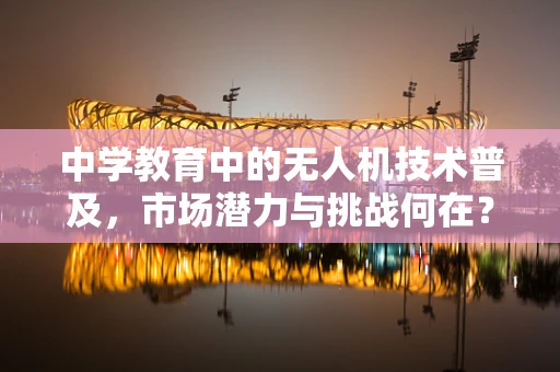 中学教育中的无人机技术普及，市场潜力与挑战何在？