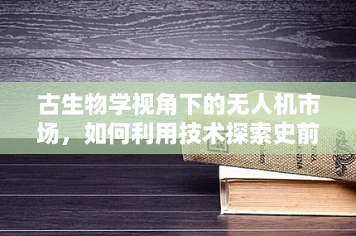 古生物学视角下的无人机市场，如何利用技术探索史前遗迹？