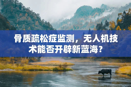 骨质疏松症监测，无人机技术能否开辟新蓝海？
