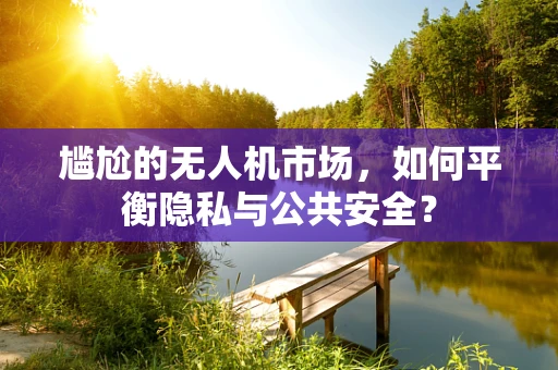 尴尬的无人机市场，如何平衡隐私与公共安全？