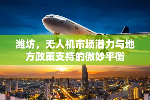 潍坊，无人机市场潜力与地方政策支持的微妙平衡