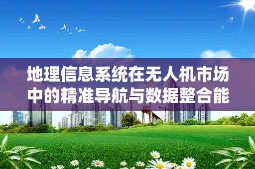 地理信息系统在无人机市场中的精准导航与数据整合能力，能否引领未来？