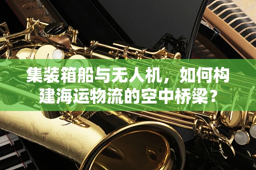 集装箱船与无人机，如何构建海运物流的空中桥梁？