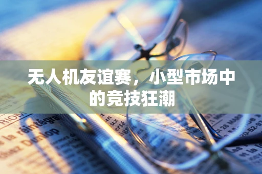 无人机友谊赛，小型市场中的竞技狂潮