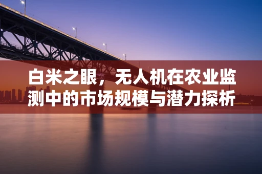 白米之眼，无人机在农业监测中的市场规模与潜力探析