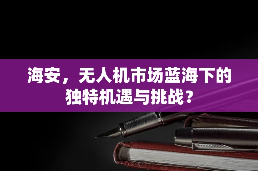 海安，无人机市场蓝海下的独特机遇与挑战？