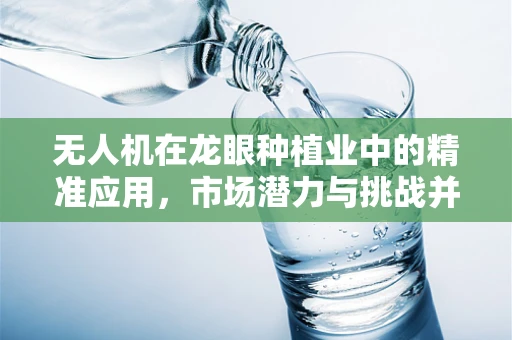 无人机在龙眼种植业中的精准应用，市场潜力与挑战并存？