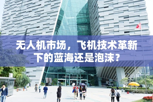 无人机市场，飞机技术革新下的蓝海还是泡沫？