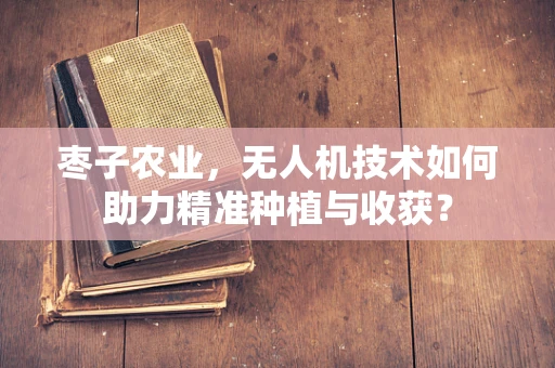 枣子农业，无人机技术如何助力精准种植与收获？