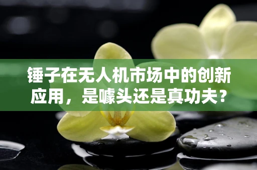 锤子在无人机市场中的创新应用，是噱头还是真功夫？