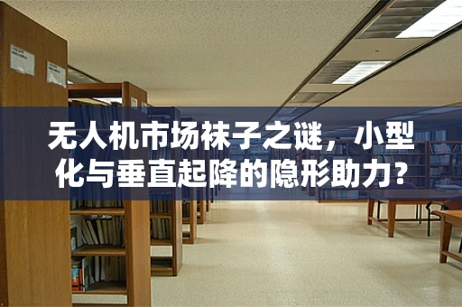 无人机市场袜子之谜，小型化与垂直起降的隐形助力？