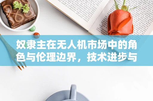 奴隶主在无人机市场中的角色与伦理边界，技术进步与道德责任的平衡