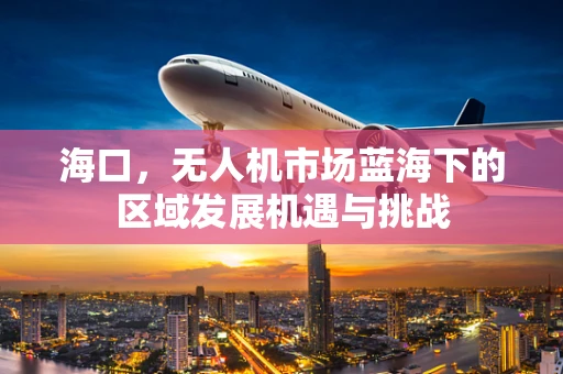 海口，无人机市场蓝海下的区域发展机遇与挑战