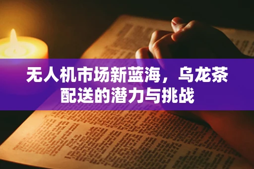 无人机市场新蓝海，乌龙茶配送的潜力与挑战