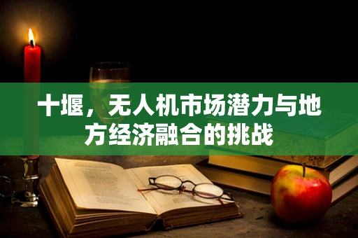 十堰，无人机市场潜力与地方经济融合的挑战