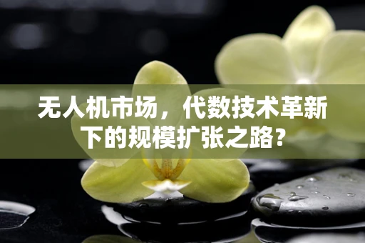 无人机市场，代数技术革新下的规模扩张之路？