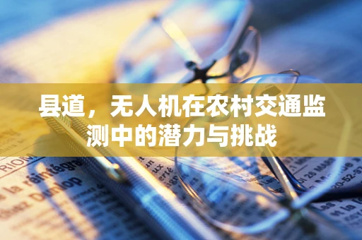 县道，无人机在农村交通监测中的潜力与挑战
