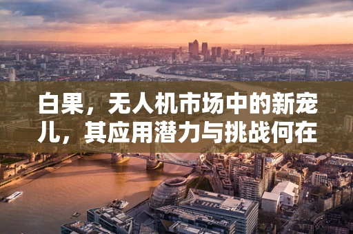 白果，无人机市场中的新宠儿，其应用潜力与挑战何在？