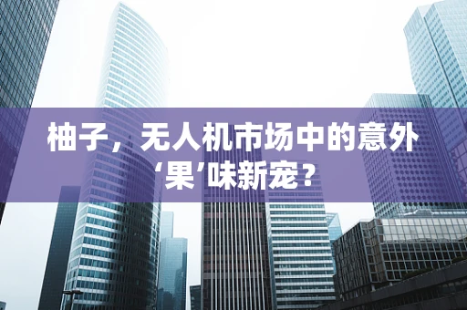 柚子，无人机市场中的意外‘果’味新宠？
