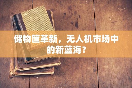 储物筐革新，无人机市场中的新蓝海？