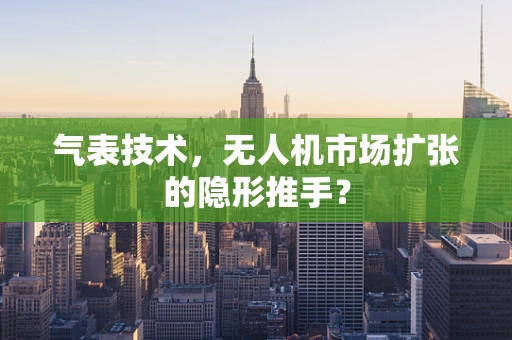 气表技术，无人机市场扩张的隐形推手？
