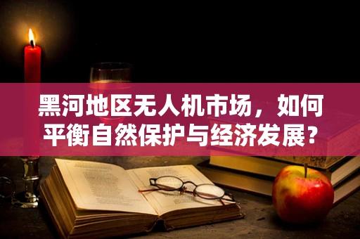黑河地区无人机市场，如何平衡自然保护与经济发展？
