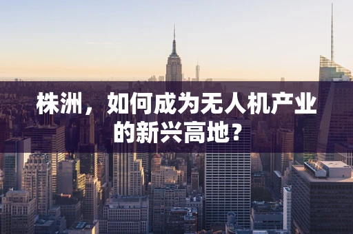 株洲，如何成为无人机产业的新兴高地？