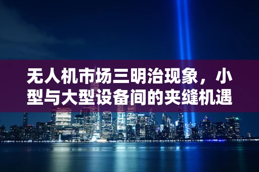 无人机市场三明治现象，小型与大型设备间的夹缝机遇