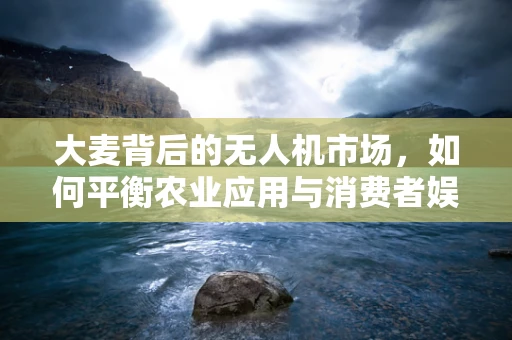 大麦背后的无人机市场，如何平衡农业应用与消费者娱乐的规模增长？