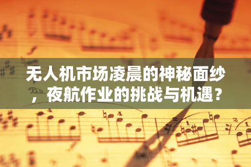 无人机市场凌晨的神秘面纱，夜航作业的挑战与机遇？
