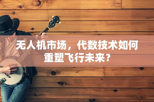 无人机市场，代数技术如何重塑飞行未来？