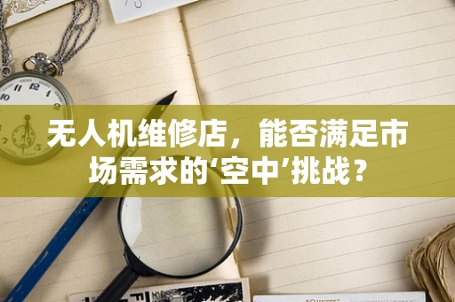 无人机维修店，能否满足市场需求的‘空中’挑战？