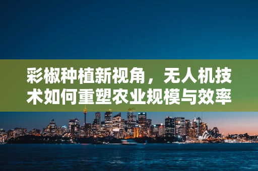 彩椒种植新视角，无人机技术如何重塑农业规模与效率？