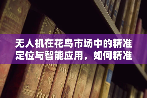 无人机在花鸟市场中的精准定位与智能应用，如何精准捕捉消费者需求？