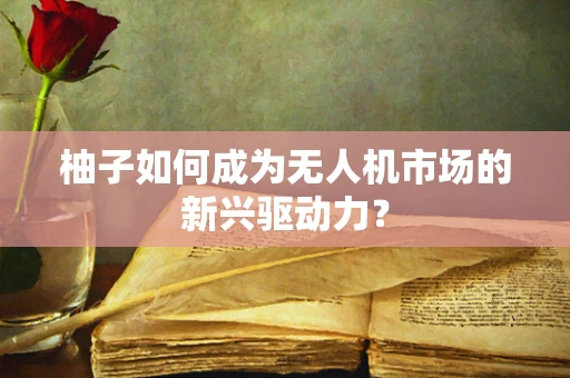 柚子如何成为无人机市场的新兴驱动力？